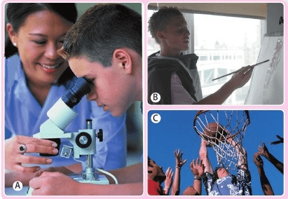 Задание рисунок 1