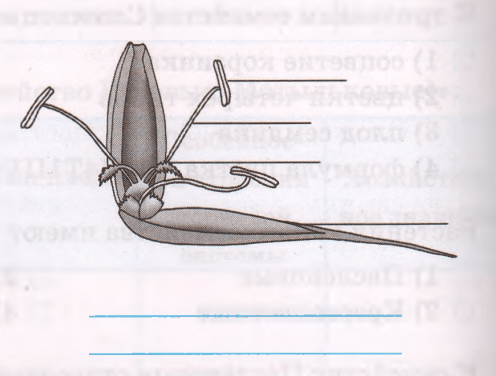 Задание рисунок 2