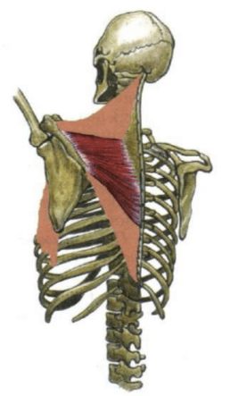 Задание рисунок 1