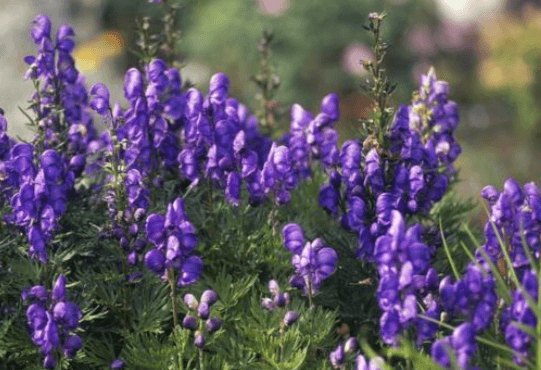 Решение рисунок 5